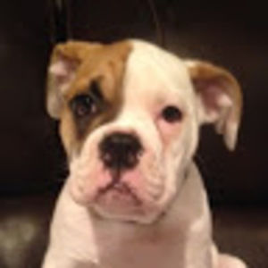 Meet your Posher, Jim